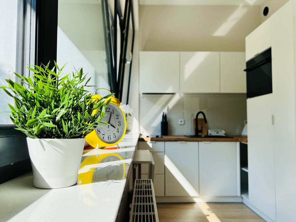 Cozystudio With Sauna Kraków Exteriör bild